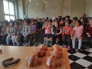 20181017 134501 (Copy)