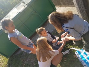 20180919 101419 (Copy)